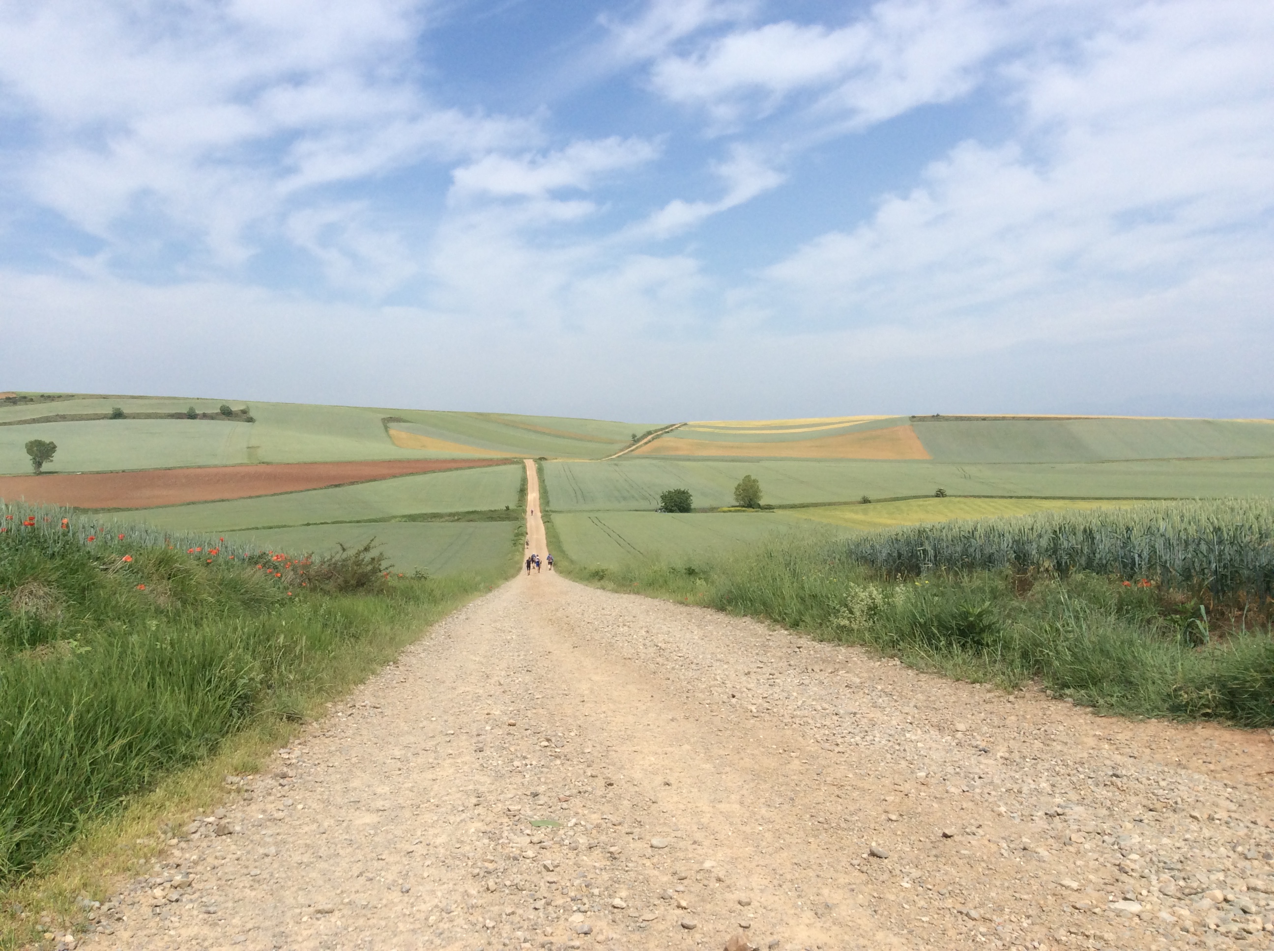 Nichts Ist Zufall Auf Dem Jakobsweg Zu Fuss Von Zuhause Nach